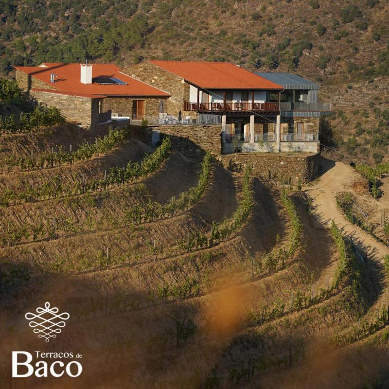 Villa Terracos De Baco Ribalonga Esterno foto