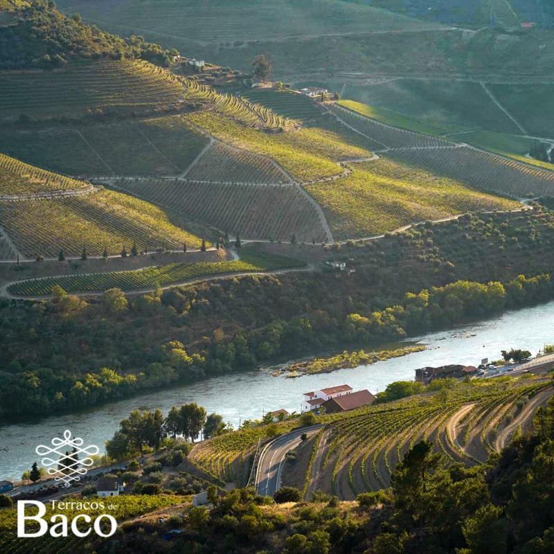 Villa Terracos De Baco Ribalonga Esterno foto